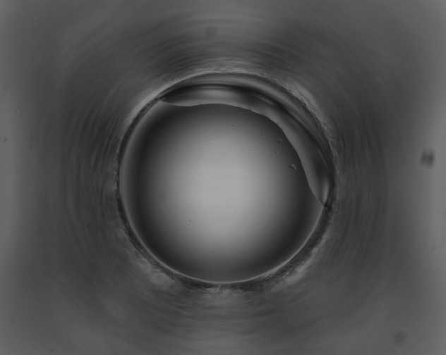 X0000091701081200708241218