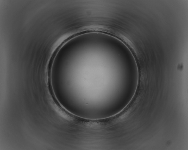 X0000091701082200708241218