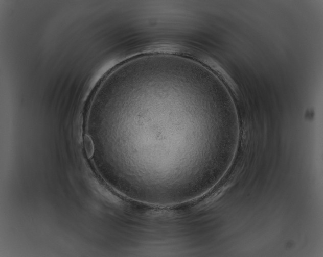 X0000091701083200708241218
