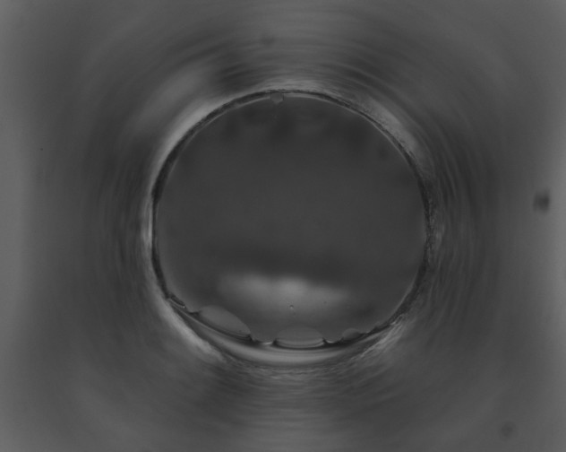 X0000091701084200708241218