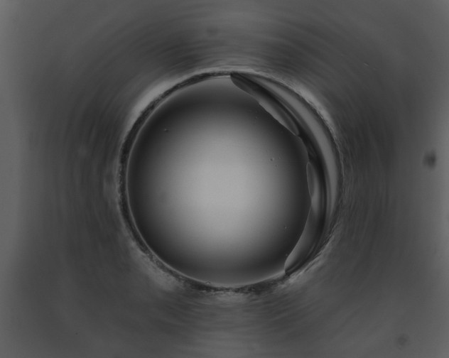 X0000091701085200708241218