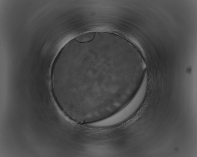 X0000091701087200708241218