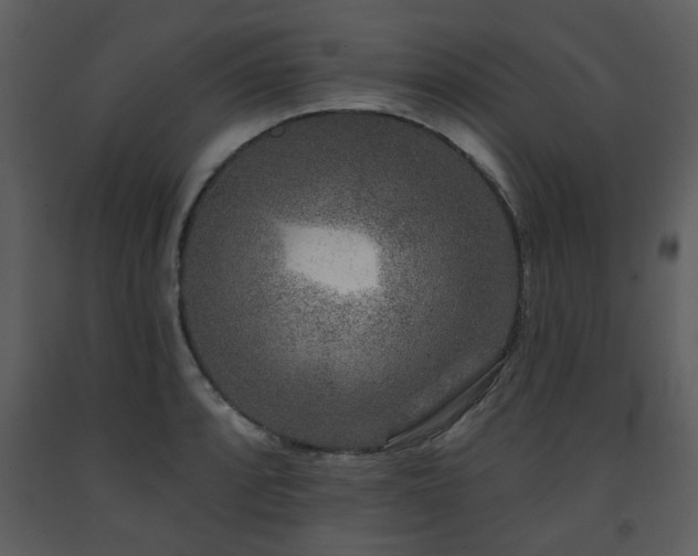 X0000091701088200708241218
