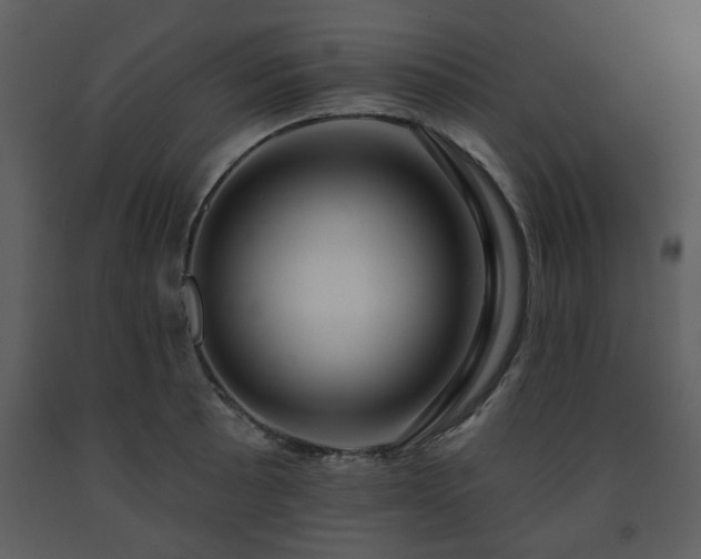 X0000091701089200708241218