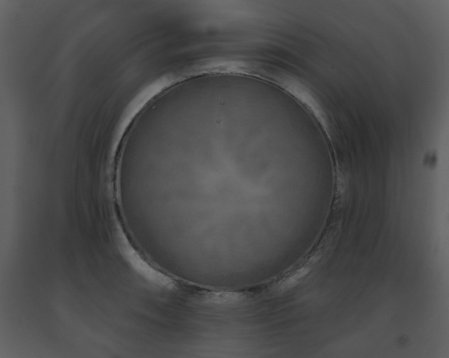 X0000091701090200708241218