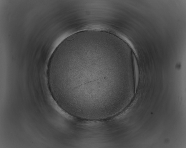 X0000091701091200708241218