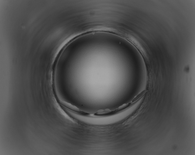 X0000091701092200708241218