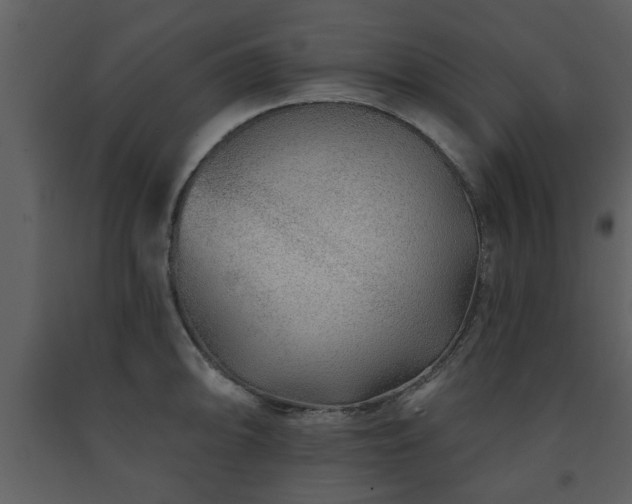 X0000091701094200708241218