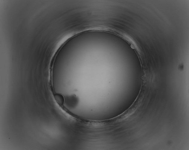 X0000091701095200708241218
