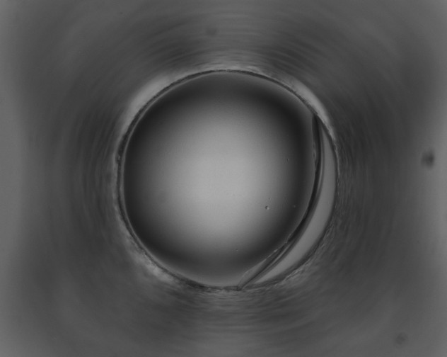 X0000091701096200708241218