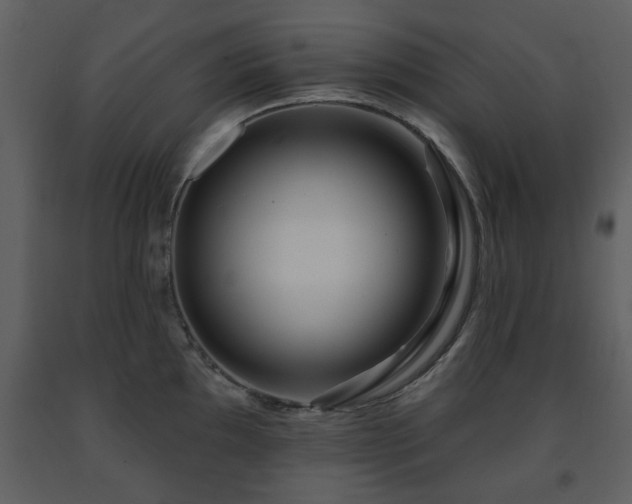 X0000091701097200708241218