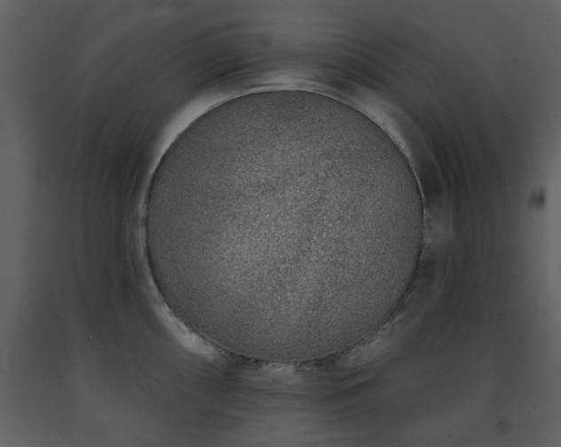 X0000091701098200708241218