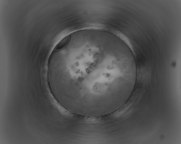 X0000091701099200708241218