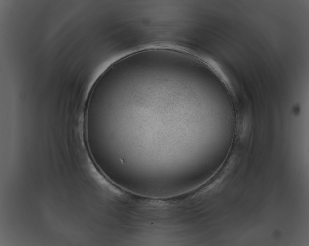 X0000091701100200708241218