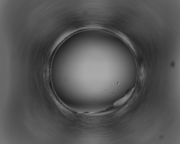X0000091701101200708241218