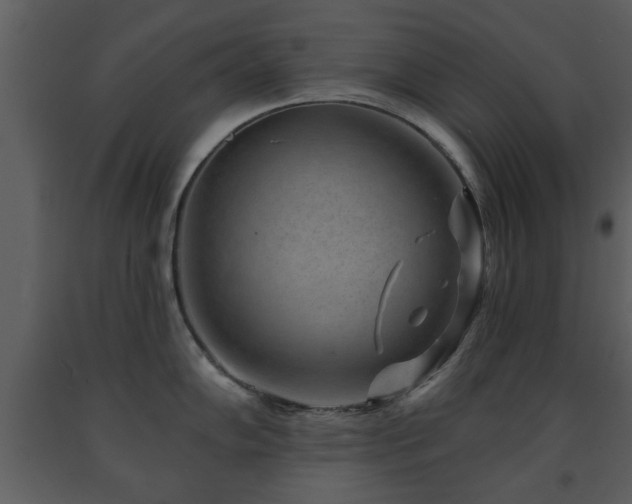 X0000091701102200708241217