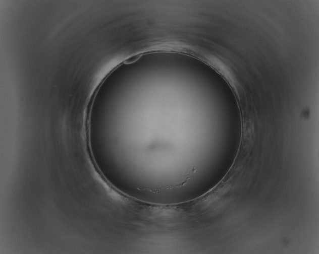 X0000091701103200708241217