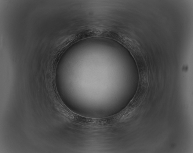 X0000091701105200708241217