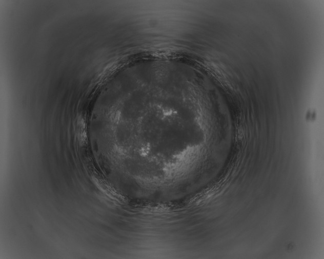 X0000091701106200708241217