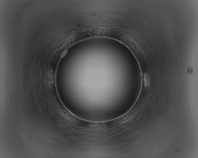 X0000091701107200708241217
