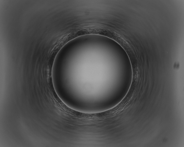 X0000091701108200708241217