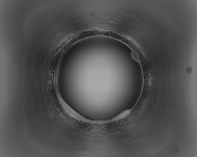 X0000091701110200708241217