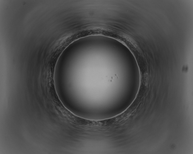 X0000091701111200708241217