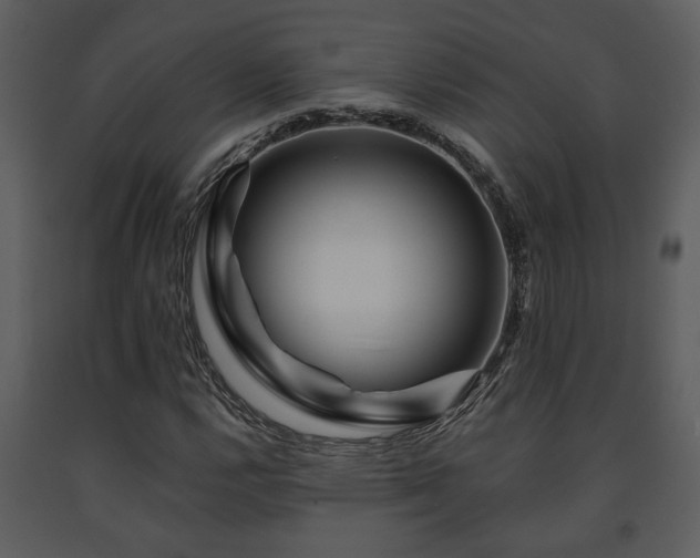 X0000091701112200708241217
