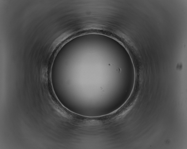 X0000091701113200708241217