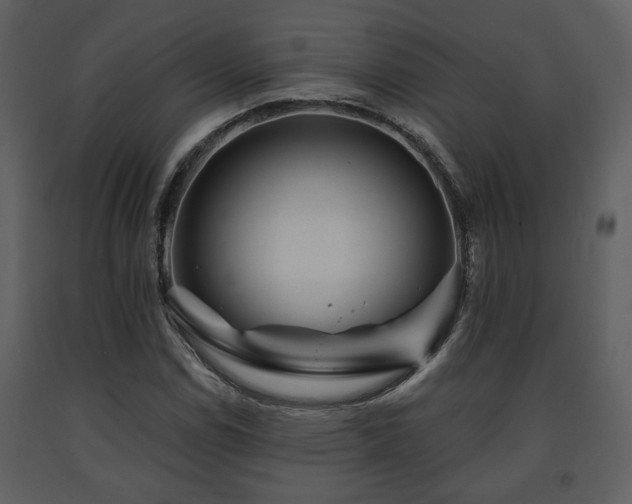 X0000091701114200708241217
