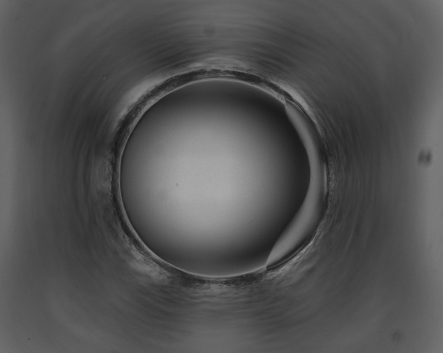 X0000091701115200708241217