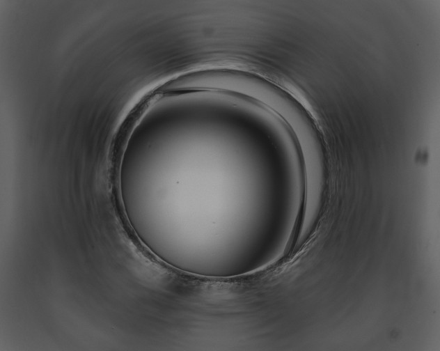 X0000091701116200708241217