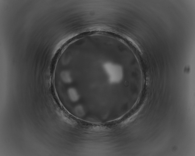 X0000091701117200708241217