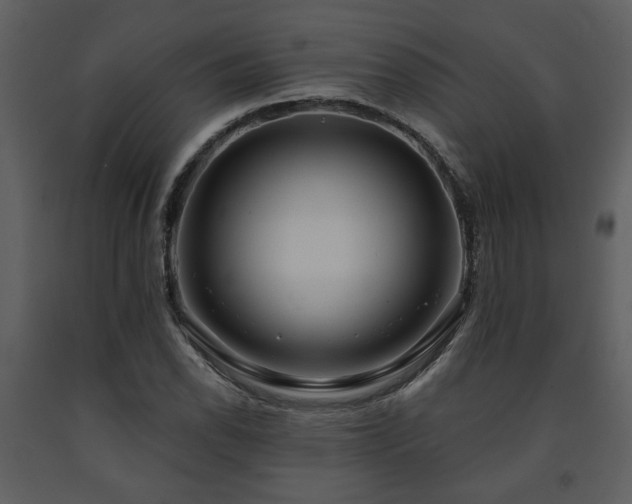 X0000091701118200708241217