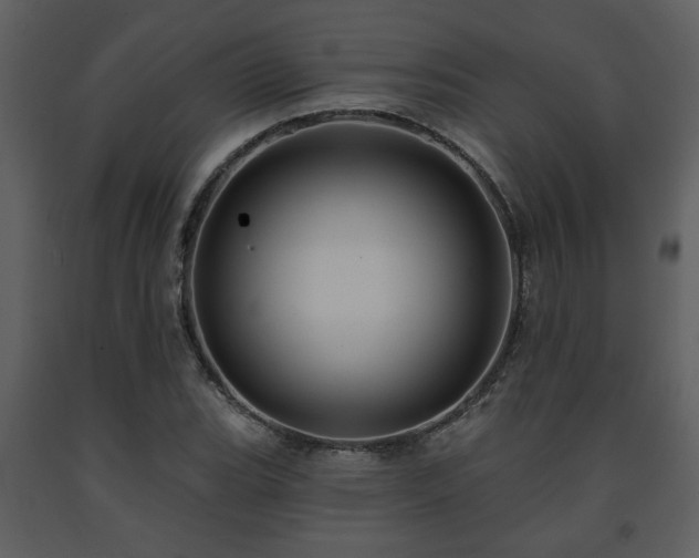X0000091701119200708241217