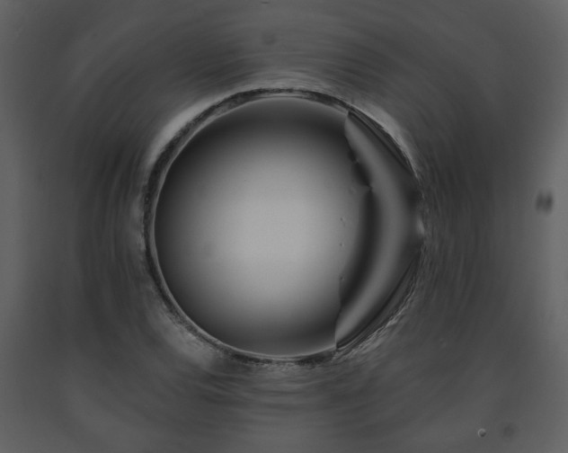 X0000091701120200708241217