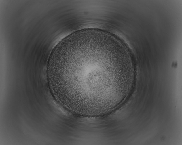 X0000091701121200708241217