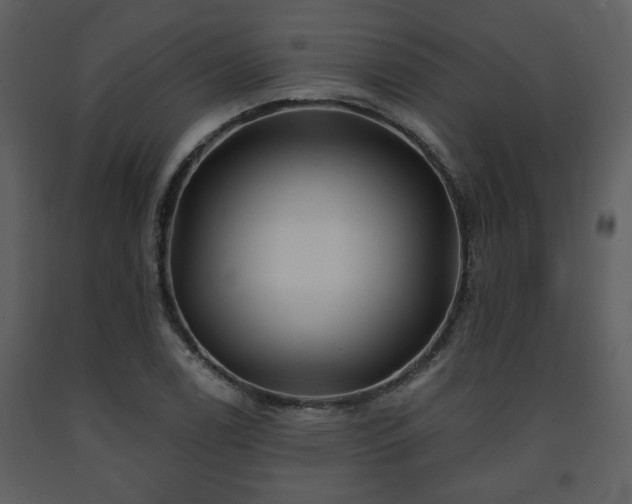 X0000091701122200708241217