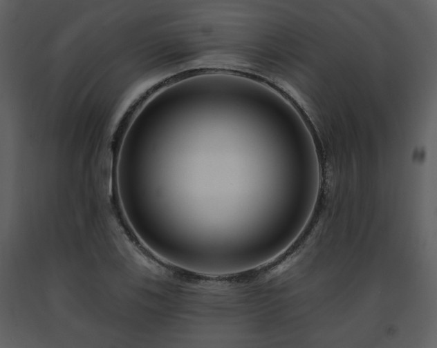 X0000091701123200708241217