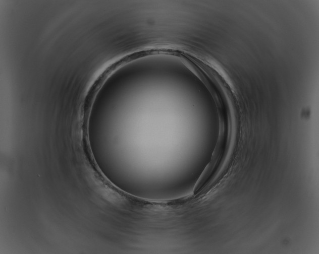 X0000091701124200708241217