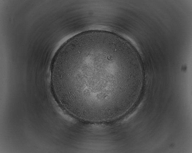 X0000091701125200708241217