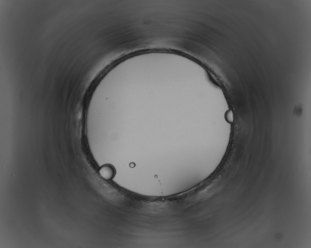 X0000091701126200708241217