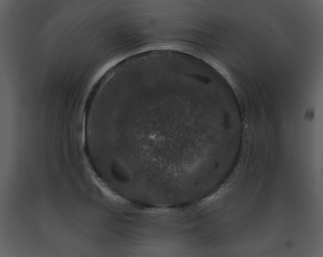 X0000091701127200708241217