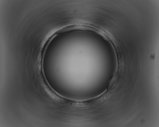 X0000091701128200708241217