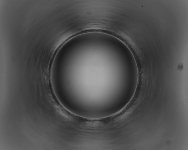 X0000091701129200708241217