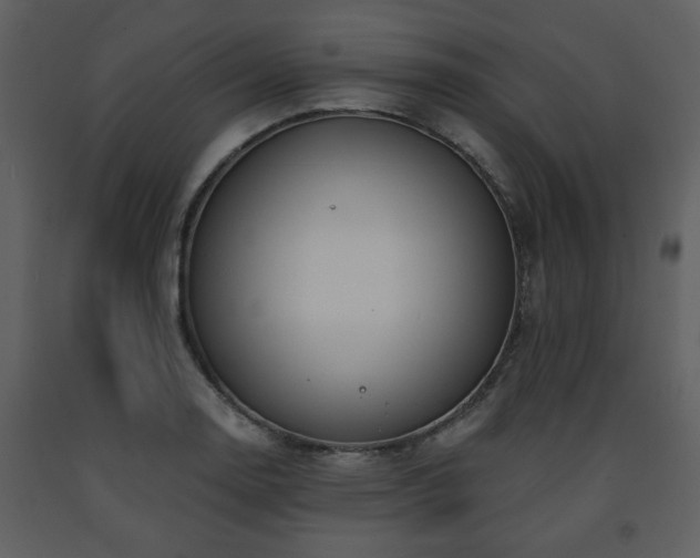 X0000091701130200708241217