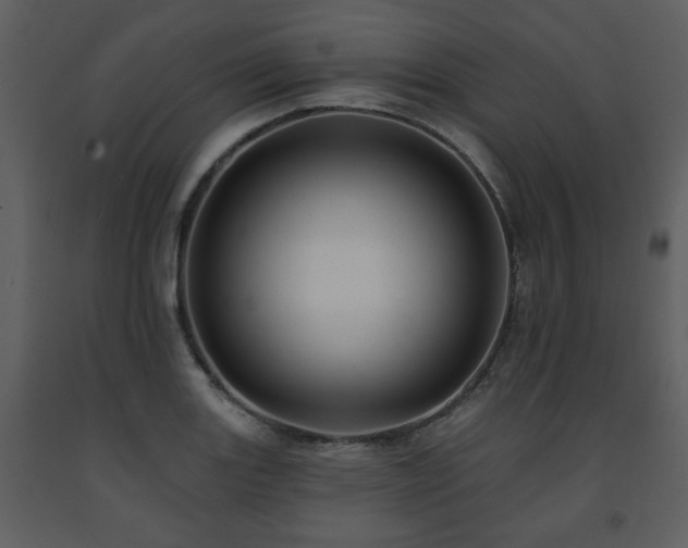 X0000091701131200708241217