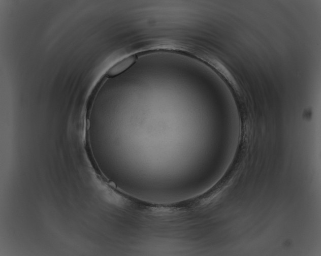 X0000091701132200708241217