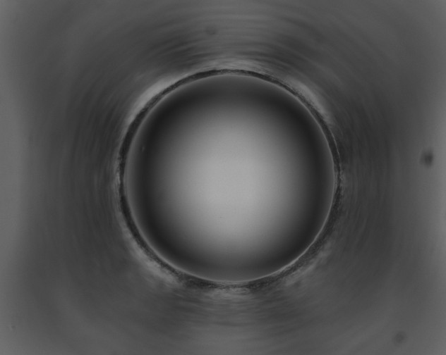 X0000091701133200708241217