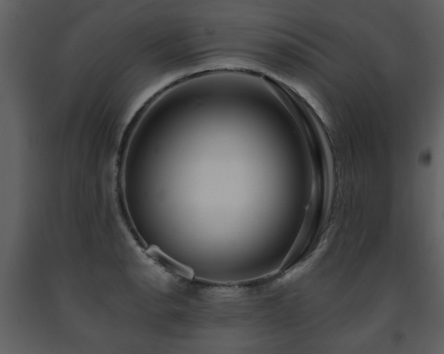 X0000091701134200708241217